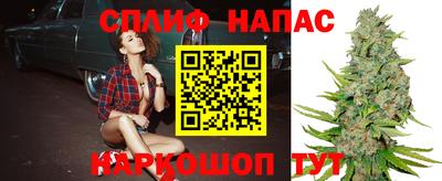 стафф Кимры