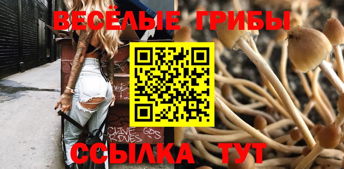 Кудрово  Галлюциногенные грибы Magic Shrooms  Вход с VPN 